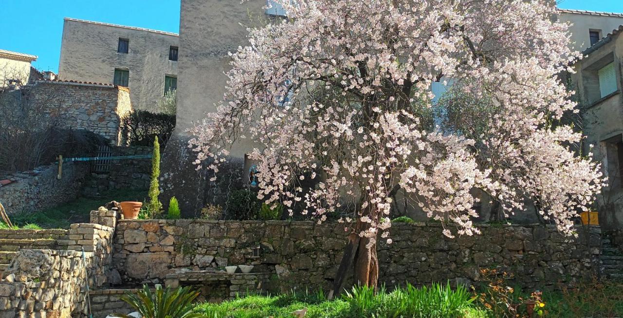 Maison Mon Reve Le Vigan  Bagian luar foto