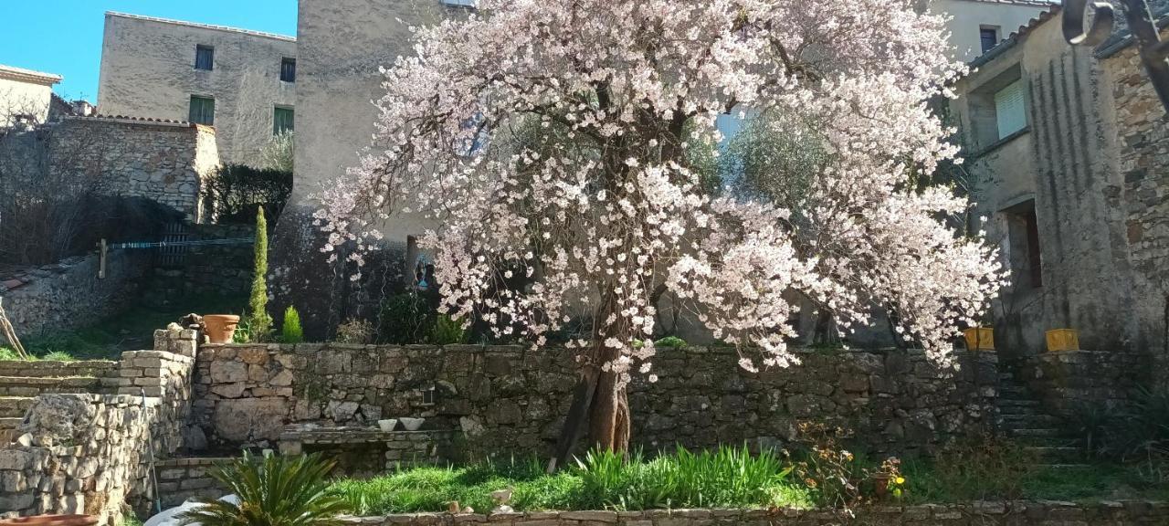 Maison Mon Reve Le Vigan  Bagian luar foto